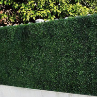 Garden deco green wall outdoor