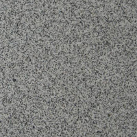 Granite polished natural stone tile for dining room