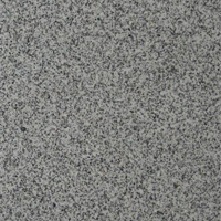 Granite polished natural stone tile for dining room Granite polished natural stone tile for dining room