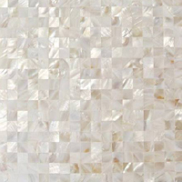 Mother pearl natural stone tile for all uses