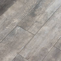 Wood look modern porcelain tile for outdoors